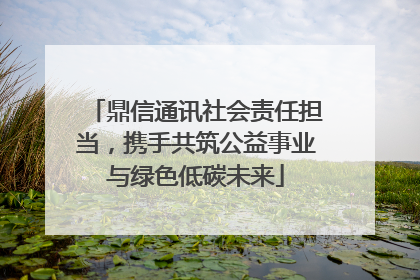 鼎信通讯社会责任担当，携手共筑公益事业与绿色低碳未来
