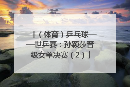 （体育）乒乓球——世乒赛：孙颖莎晋级女单决赛（2）