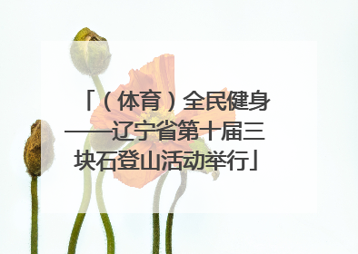 （体育）全民健身——辽宁省第十届三块石登山活动举行