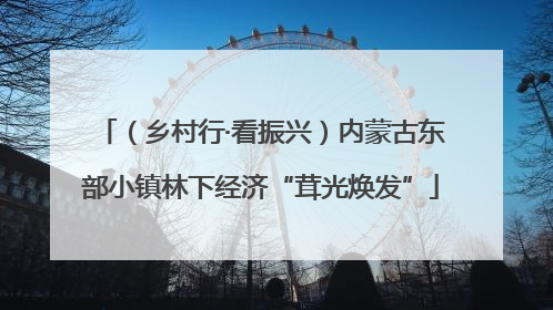 （乡村行·看振兴）内蒙古东部小镇林下经济“茸光焕发”