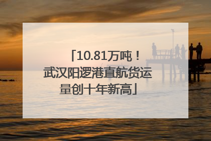 10.81万吨！武汉阳逻港直航货运量创十年新高