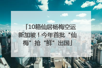 10箱仙居杨梅空运新加坡！今年首批“仙梅”抢“鲜”出国