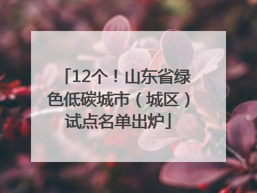 12个！山东省绿色低碳城市（城区）试点名单出炉
