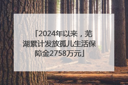 2024年以来，芜湖累计发放孤儿生活保障金2758万元