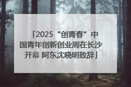 2025“创青春”中国青年创新创业周在长沙开幕 阿东沈晓明致辞