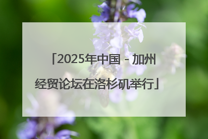 2025年中国－加州经贸论坛在洛杉矶举行