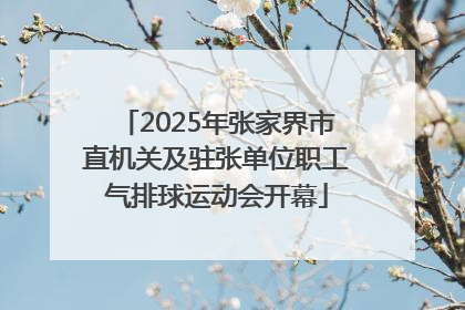 2025年张家界市直机关及驻张单位职工气排球运动会开幕