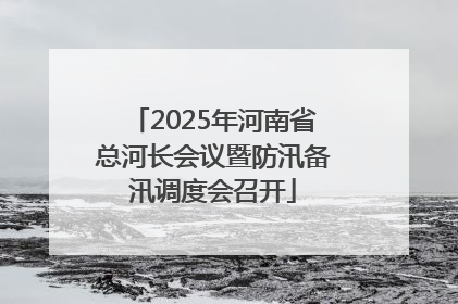 2025年河南省总河长会议暨防汛备汛调度会召开