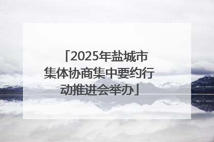2025年盐城市集体协商集中要约行动推进会举办