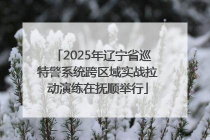 2025年辽宁省巡特警系统跨区域实战拉动演练在抚顺举行