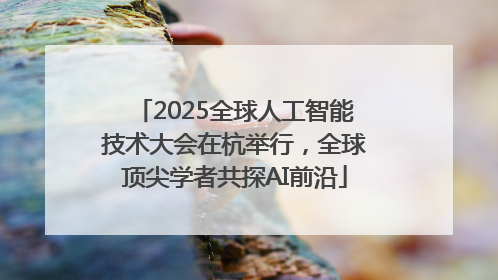 2025全球人工智能技术大会在杭举行，全球顶尖学者共探AI前沿