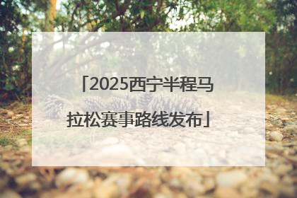 2025西宁半程马拉松赛事路线发布