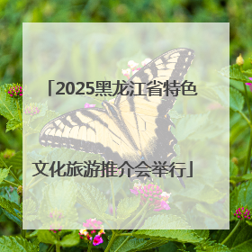 2025黑龙江省特色文化旅游推介会举行