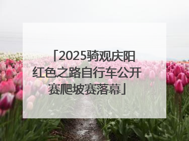 2025骑观庆阳红色之路自行车公开赛爬坡赛落幕