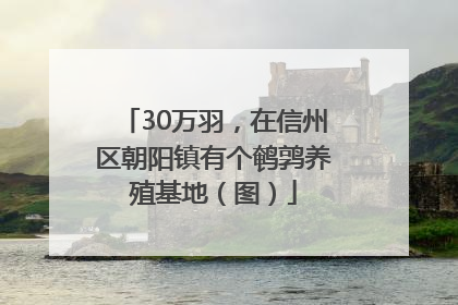 30万羽，在信州区朝阳镇有个鹌鹑养殖基地（图）