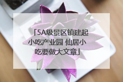 5A级景区镇建起小吃产业园 仙居小吃要做大文章