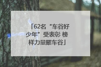 62名“车谷好少年”受表彰 榜样力量耀车谷