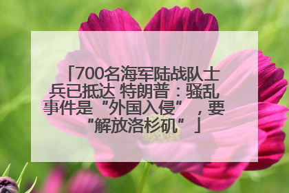 700名海军陆战队士兵已抵达 特朗普：骚乱事件是“外国入侵”，要“解放洛杉矶”