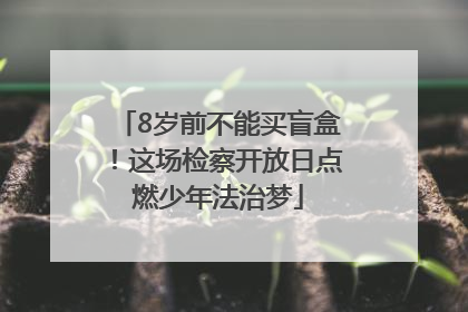 8岁前不能买盲盒！这场检察开放日点燃少年法治梦
