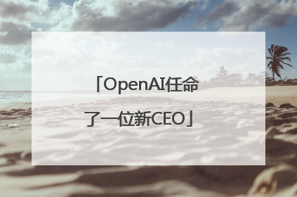 OpenAI任命了一位新CEO