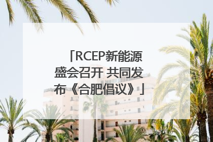 RCEP新能源盛会召开 共同发布《合肥倡议》